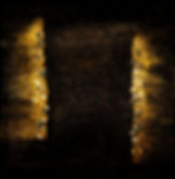 Gold Nuclei About to Collide
