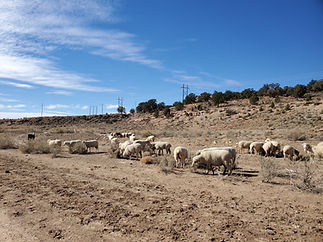 20201101_120832.jpg
