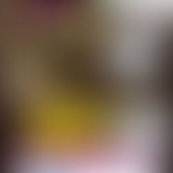 Bubbles, Bourbon & Bingo: A Night of Fun for a Great Cause