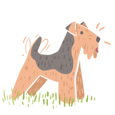 Dog Days, surface pattern design, illustration, dogs, welsh terrier, chihuahua, Pomeranian, greyhound, poodle,  shitzu, wiener dog