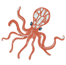 Octopus 1.png