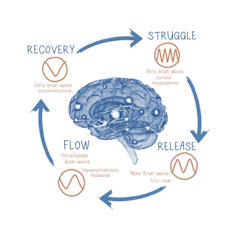 Withflow Cycle FLOW CYCLE | Dalston Clay