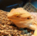 PXL_20210618_205531836_edited
