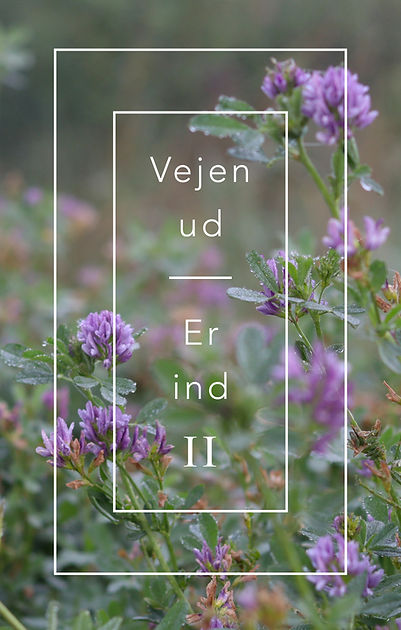 Indholds kopi23333.jpg