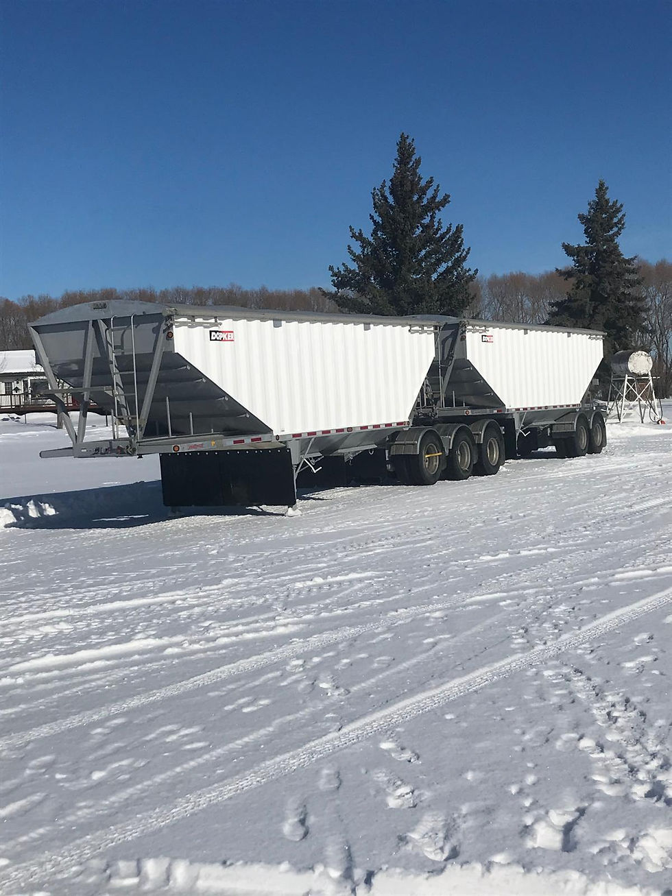 WhatsApp Image 2026-01-31 at 12.59.25 PM.jpeg