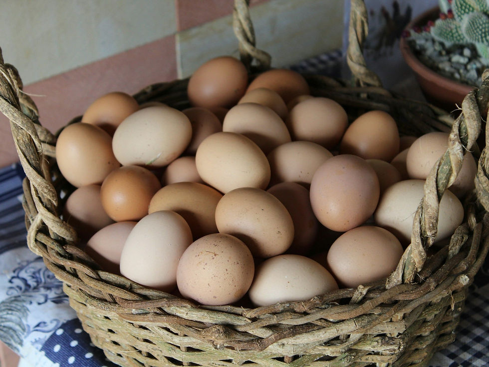 eggs