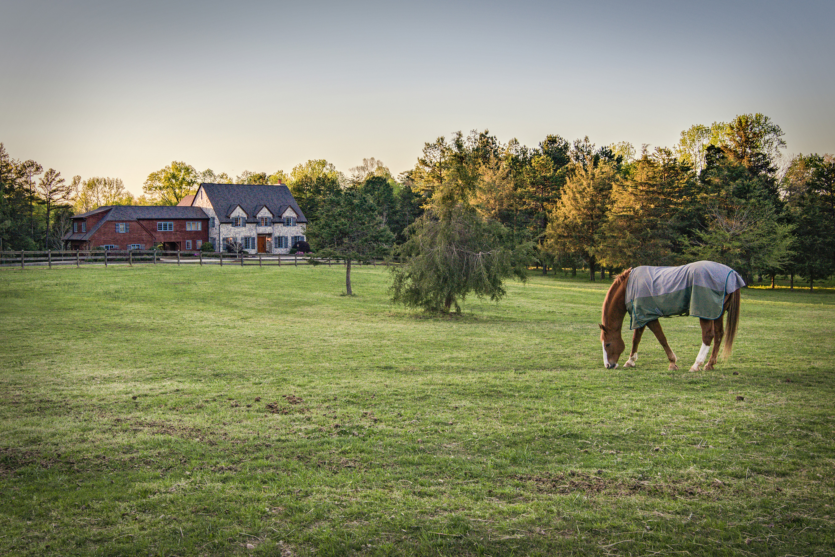 Charlotte Real Estate Photos