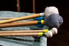 2019-01-19 19.32.08_TheSoundEnsemble_ShayaLyonPhoto.jpg