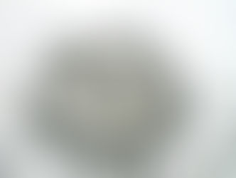 英語で、豊かな未来を。