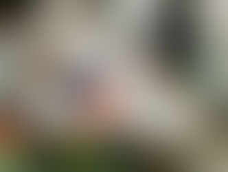 11月雑記・日々のレッスン、英検など