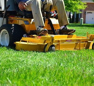Lawn Mower Selection Support