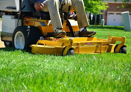 Lawn Mower Selection Support
