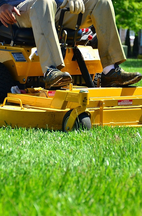 Lawn Mower Selection Support