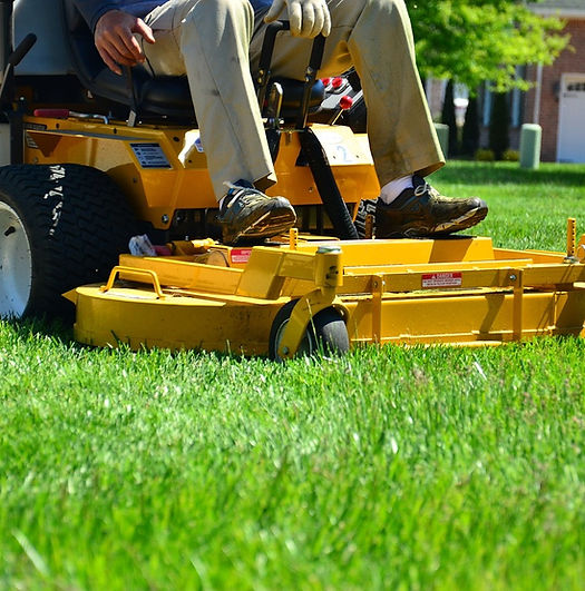Lawn Mower Selection Support