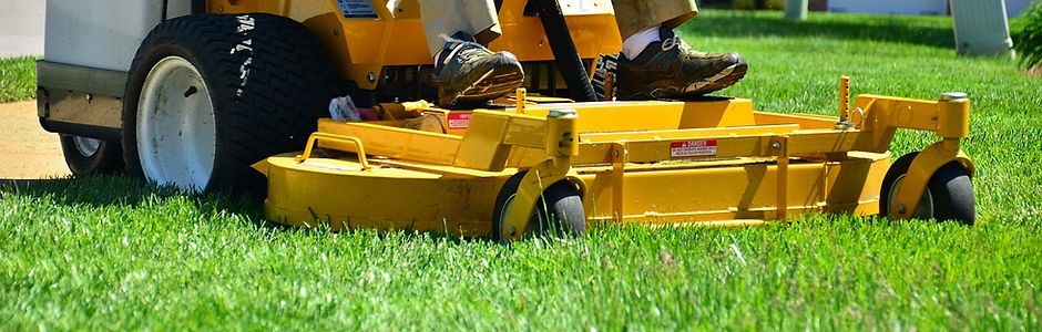 Lawn Mower Selection Support