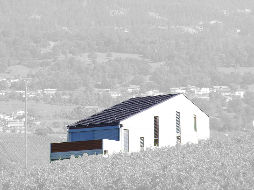 maison grimpante
