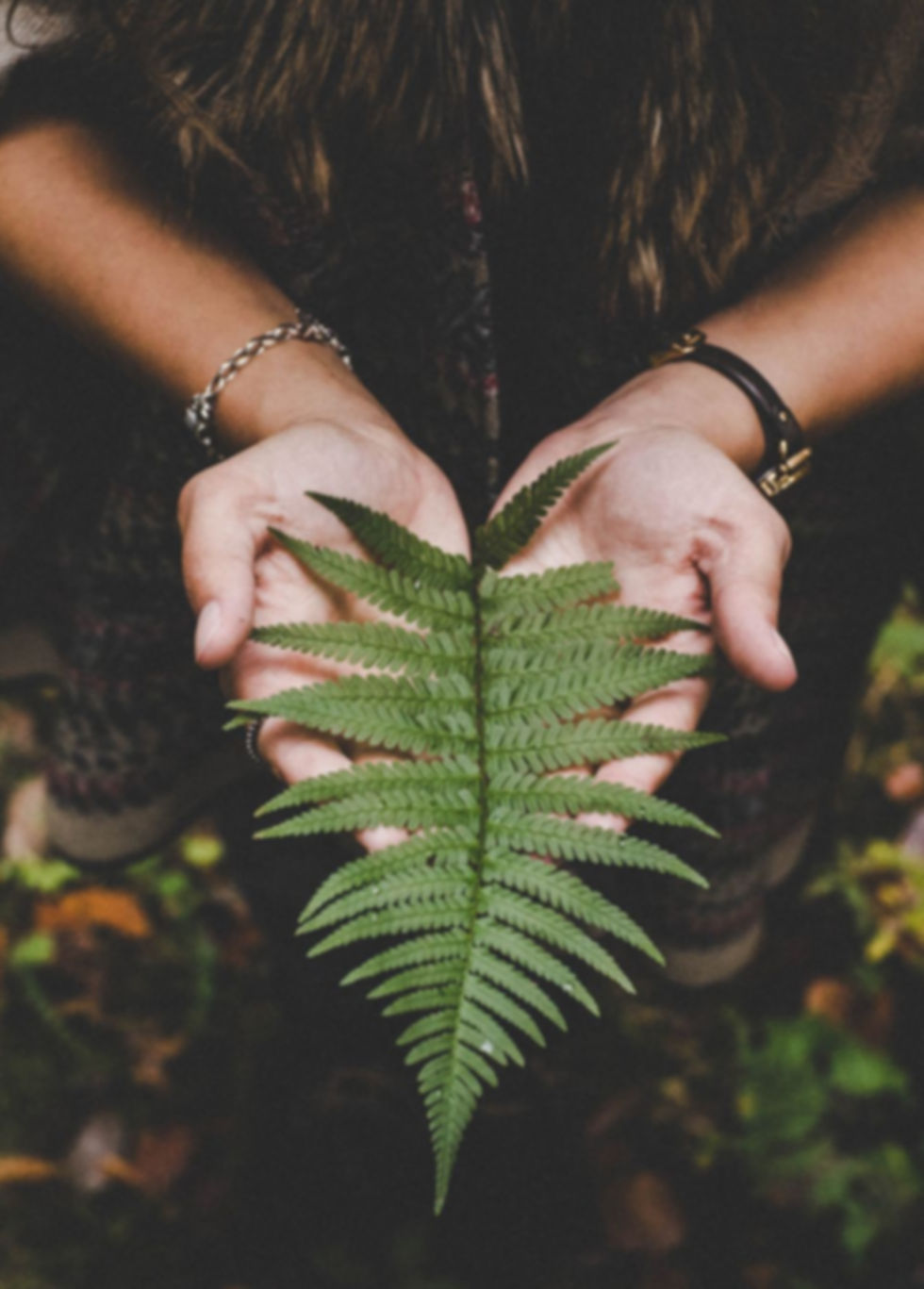 Hands gently holding a native New Zealand fern at Otorohanga Kiwi House, symbolising care for nature and conservation