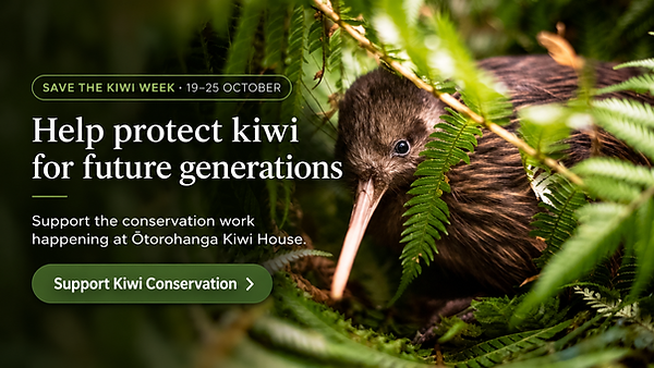 Protect Kiwi for Future Generations.png