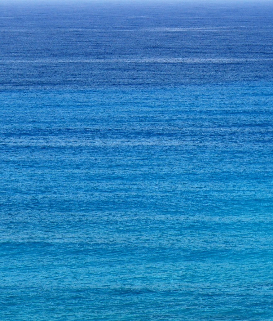 blue_back_1.jpg