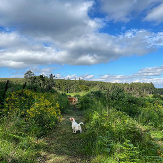 The Old Mushroom Farm walks