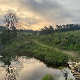 Nature walks and time outdoors on The Old Mushroom Farm walking trail, where dogs are welcome