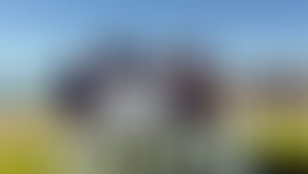 Crestwood Sponsors AFSP Out of the Darkness Walks!