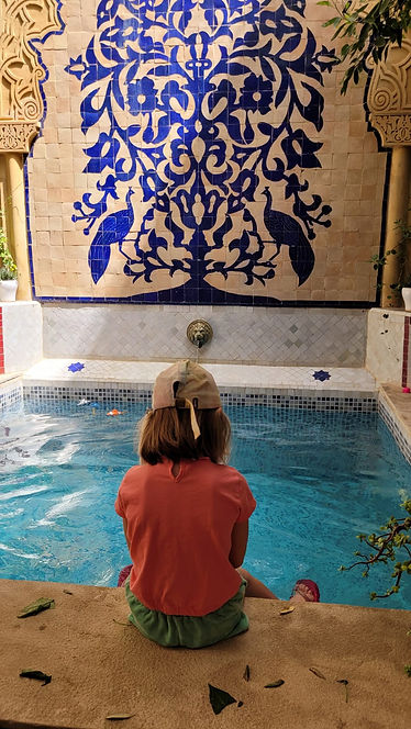 zwembadje inn Riad te Fez