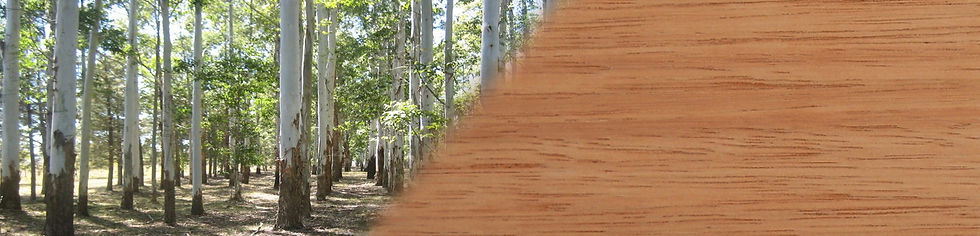 sfondo Red Grandis.jpg