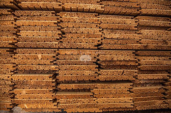 ABETE - 6 - PERLINA - 2 - EVAPORATA (1).