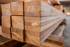 LARICE AUSTRIACO - 7 - RIGATO (2).jpg