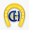 chsa.jpg
