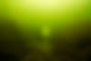 DSC02214.jpg
