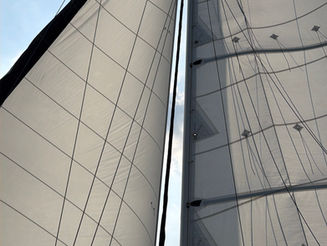 Palm Sunday Gathering: Peter, Paul, and Our Lord Jesus Christ