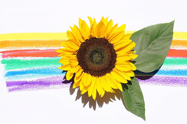 SunFlower.jpeg