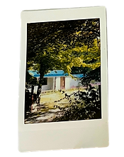 polaroid picture from temple