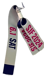 concert wristband