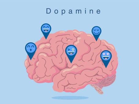 DOPAMINA: La clave del placer y la motivación.