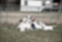 514998701_10163907169522922_6585226006777098923_n_edited.jpg