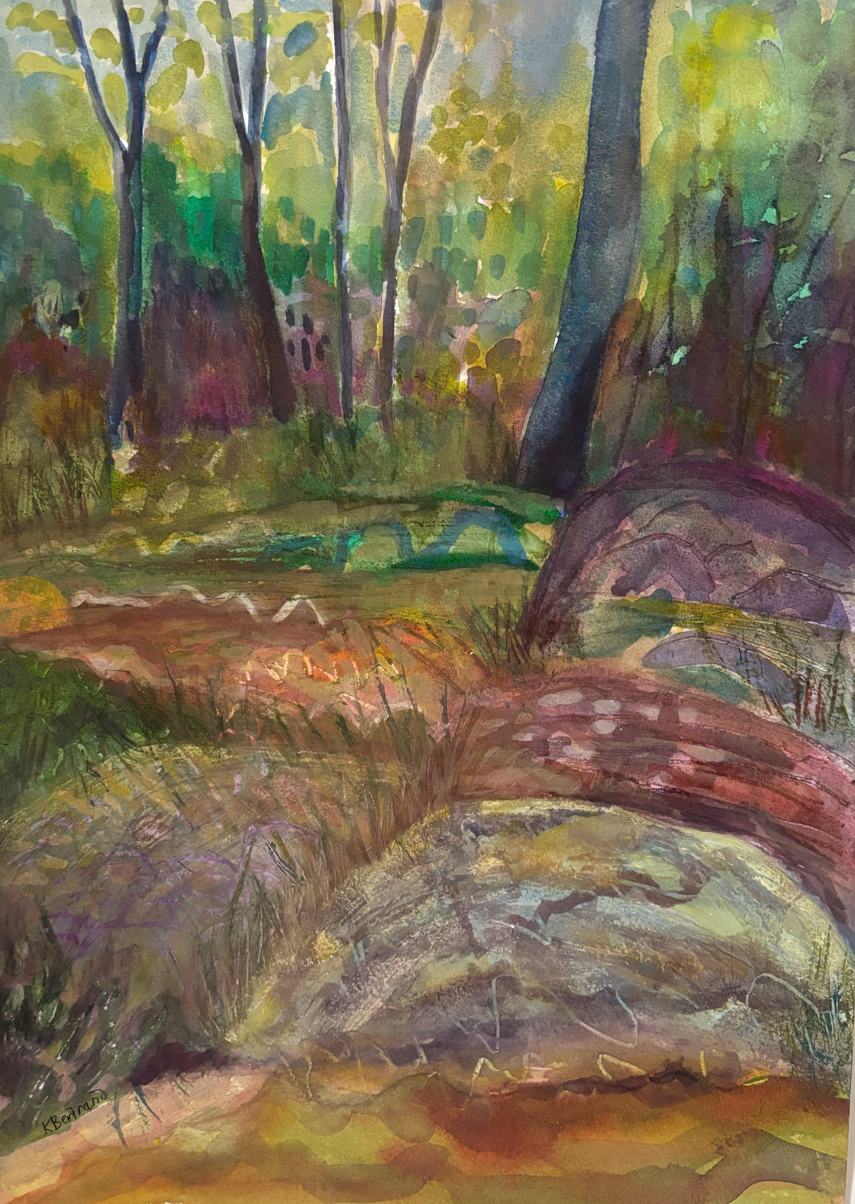 Springbrook rainforest watercolour on paper