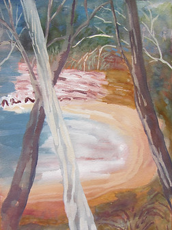 Watercolour and gouche Scotts Point