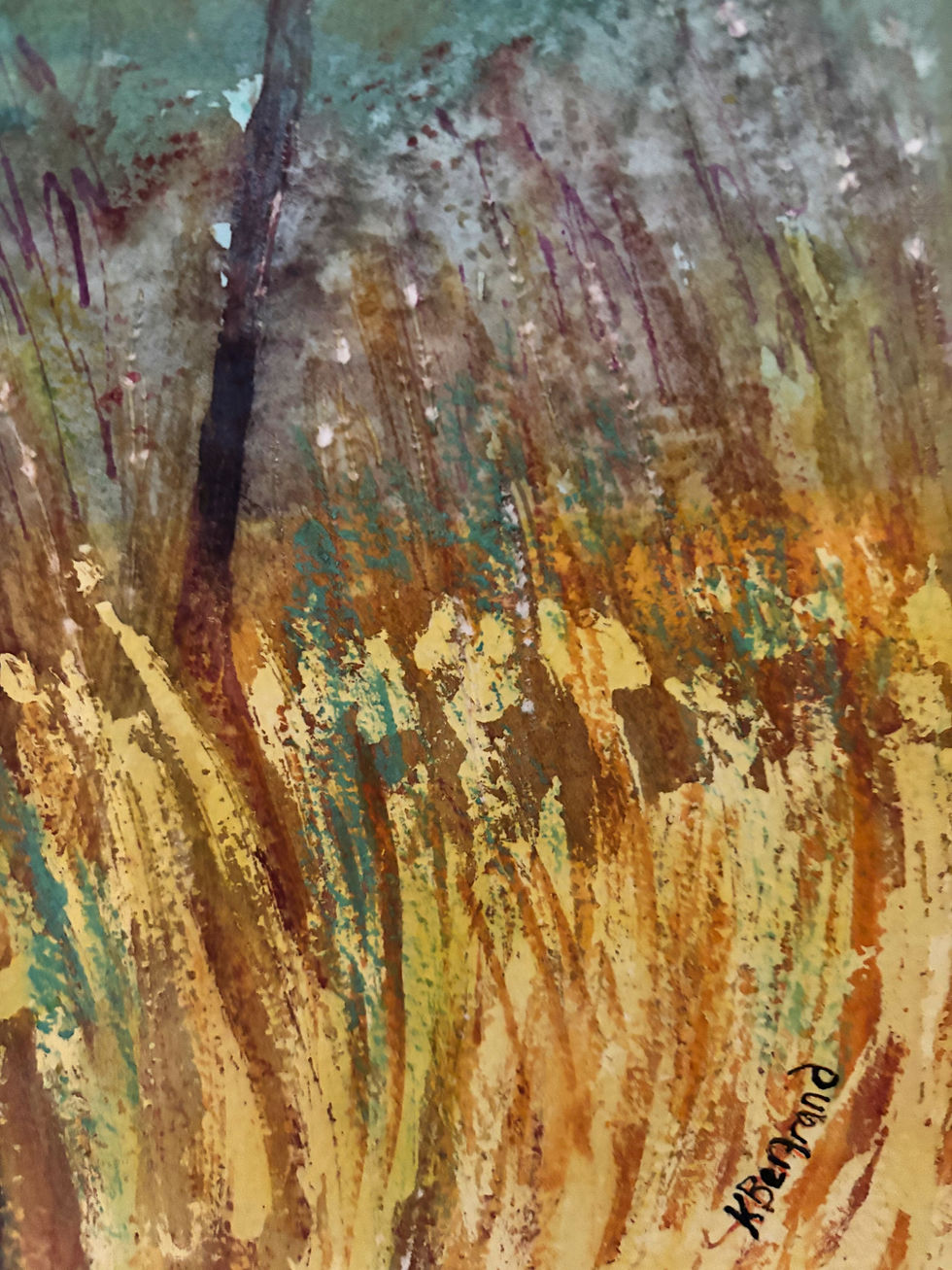 Thumbnail: Spring Wattle Walk