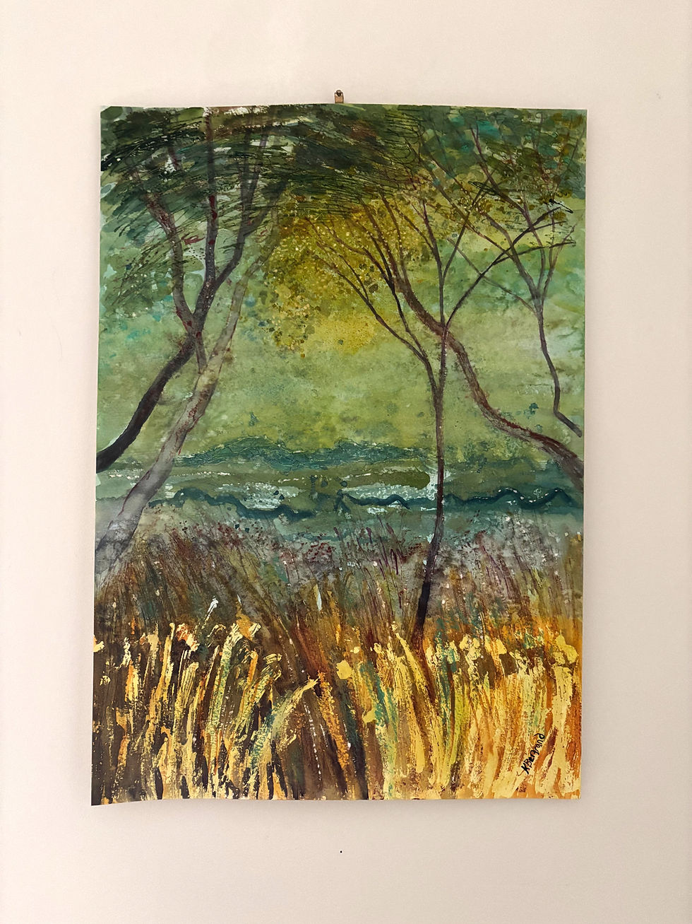 Thumbnail: Spring Wattle Walk