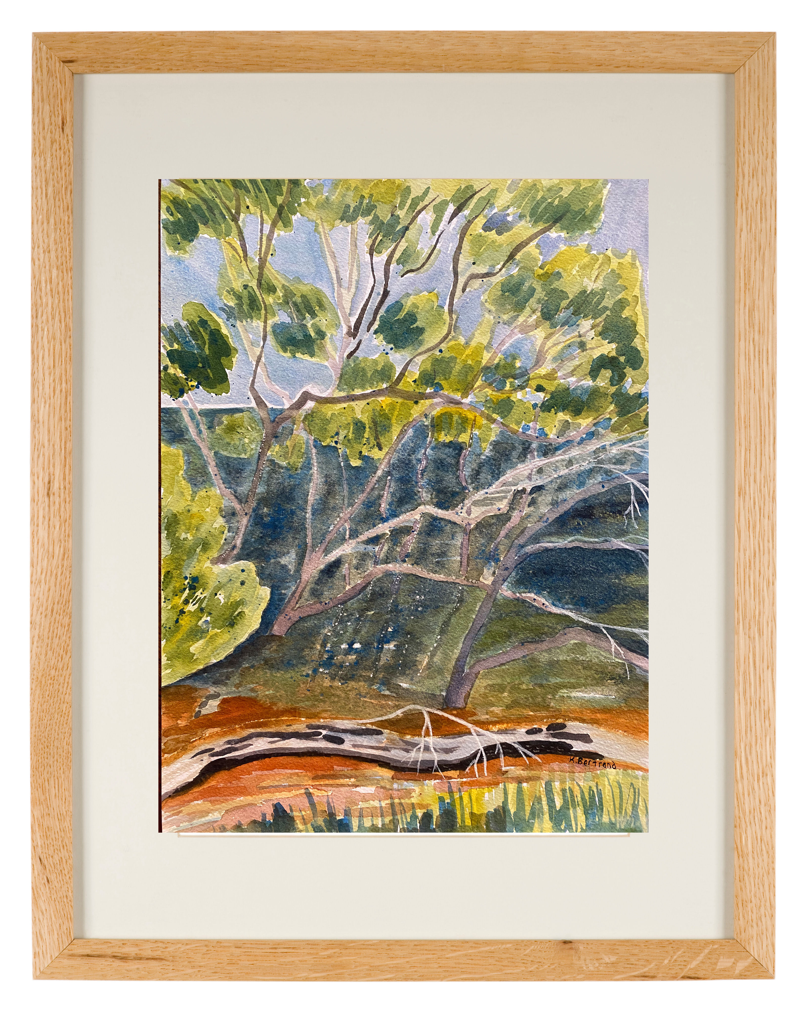 Scarborough Mangroves watercolour on paper