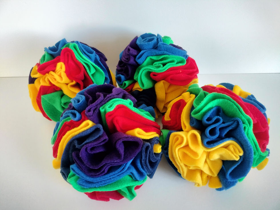 Pride Colour Snuffle Ball