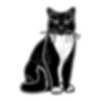 Tuxedo Cat