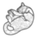 Sleeping Cat