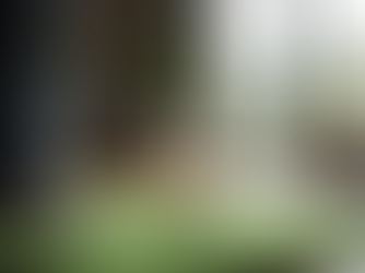 golfer practicing putting on indoor putting mat.