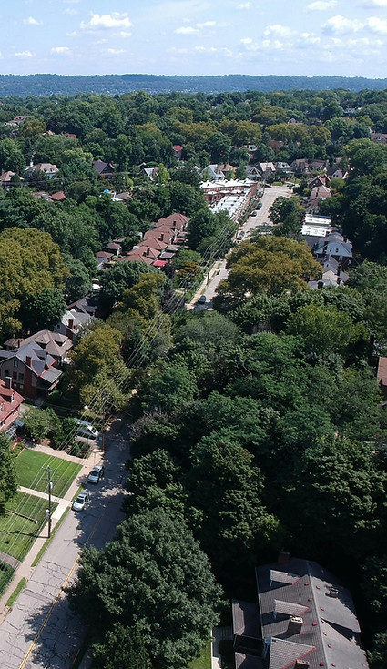 Tree maintenance service in Johnson County Kansas suburban area
