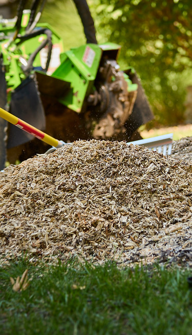 Clean yard after stump grinding and debris removal by Redbird Services