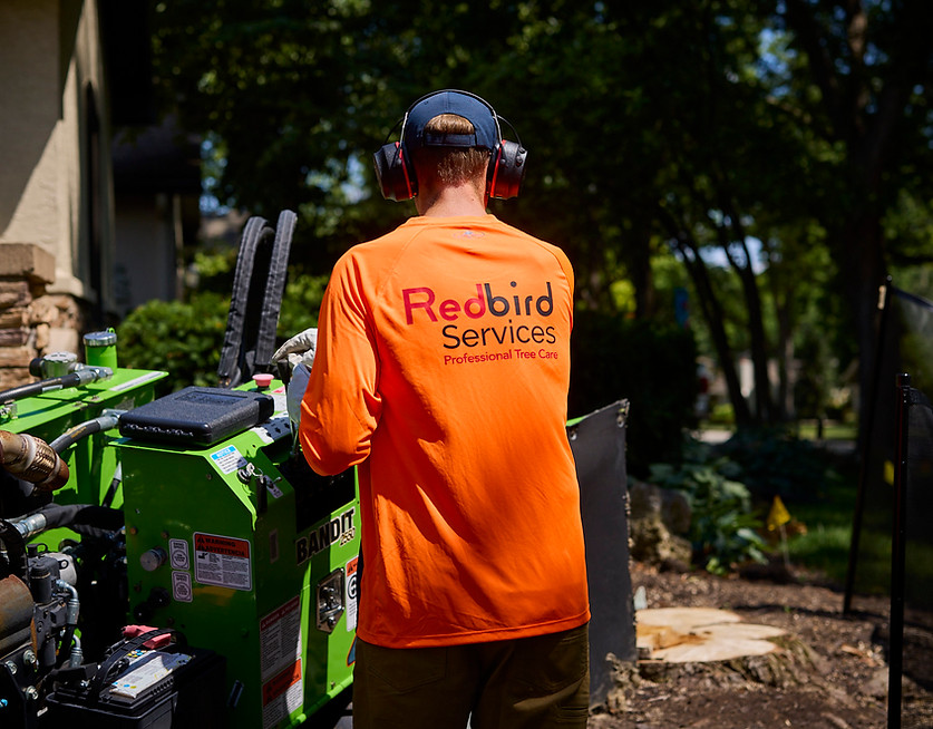 Professional stump grinding equipment removing tree stump in Kansas City yard
